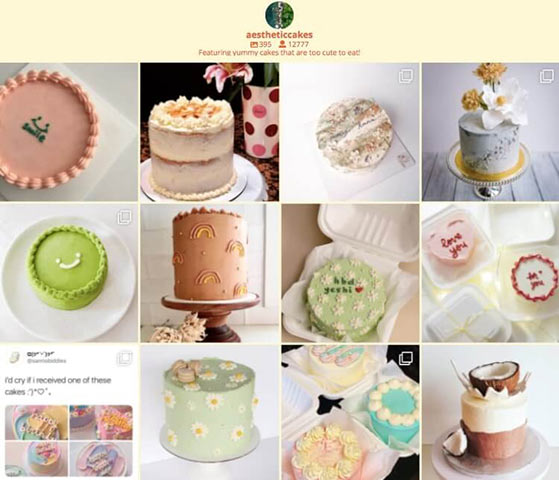 embed-instagram-on-website-cakes - Blog Tyrant instagram feed on food blog