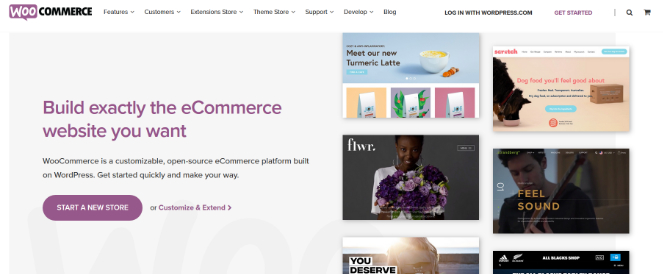 woocommerce-ecommerce-site - Blog Tyrant