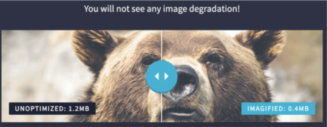 11.-compress-images - Blog Tyrant An example of a compressed image. Compressed images help with image SEO