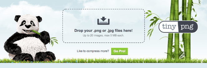 11.compressor-tool - Blog Tyrant TINYpng is a compressor image tool