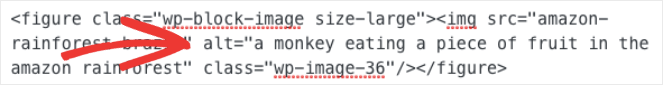 6.-what-is-alt-text - Blog Tyrant An example of what alt text looks like in HTML