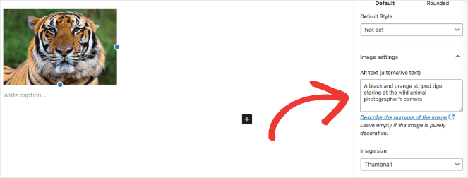 9.-classic-editor-alt-text - Blog Tyrant wordpress-editor-alt-text