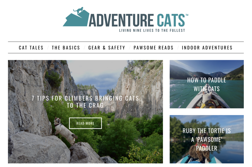 Adventure-cats-homepage - Blog Tyrant