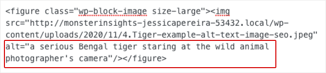 alt-tag-with-primary-keywords - Blog Tyrant An example of alt tags with the primary keyword