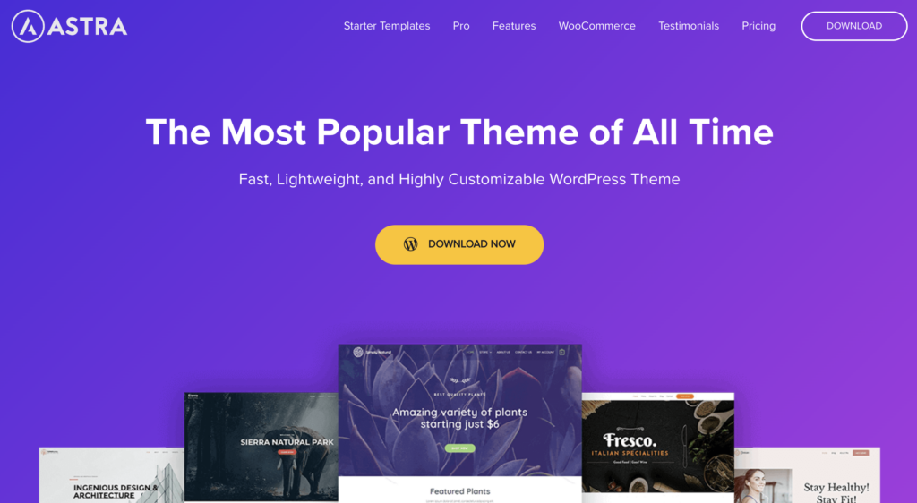astra-theme - Blog Tyrant astra wordpress theme.