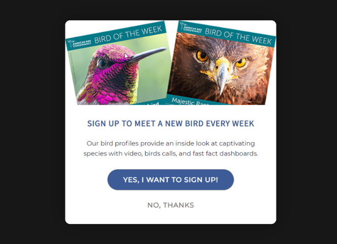 bird-week - Blog Tyrant lead magnet example