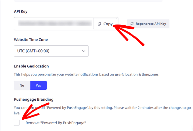 Copy API key - Blog Tyrant Copy API key