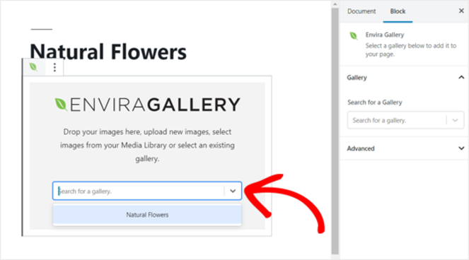 dropdown - Blog Tyrant choose your gallery