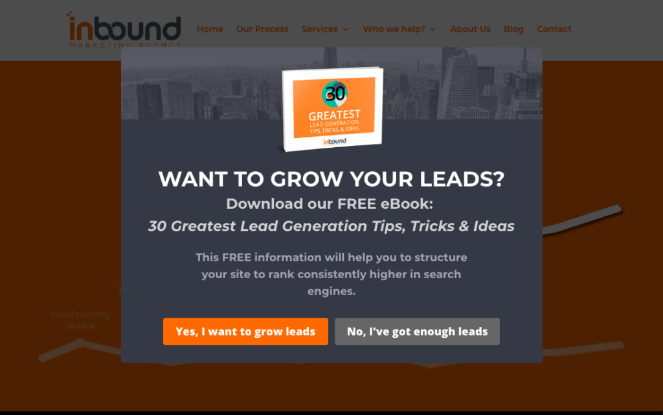 ebook-lead-magnet-popup - Blog Tyrant optinmonster popup example