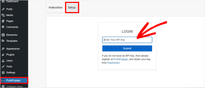 Enter API key in WordPress - Blog Tyrant Enter API key in WordPress