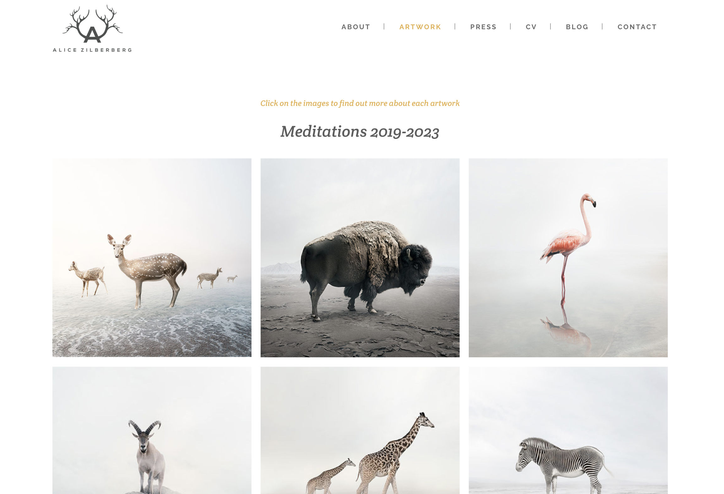 example of a photo gallery - Blog Tyrant example of a photo gallery.