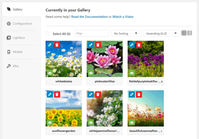 gallerytab - Blog Tyrant envira galleries tab