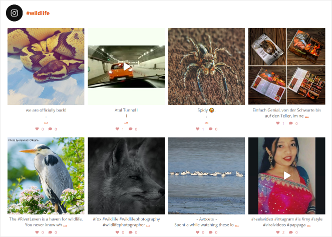 instagram-feed-smash-balloon - Blog Tyrant instagram-feed-example-smash-balloon