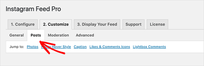 posts - Blog Tyrant posts customize tab