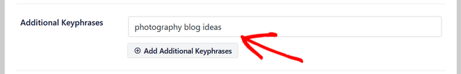 rsz_additional-keyphrases-aioseo2 - Blog Tyrant add additional keyphrases in all in one seo