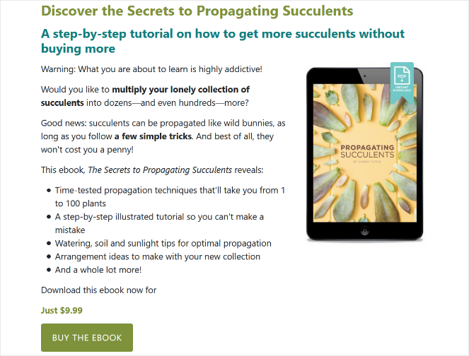 succulents-ebook - Blog Tyrant what does a blogger do - sell ebooks
